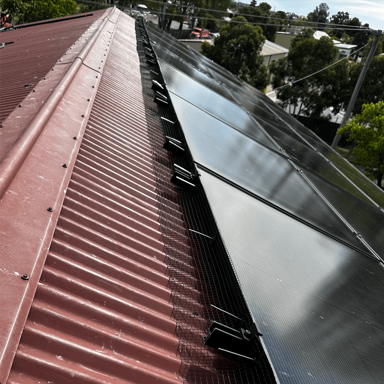 Solar panel netting installed.