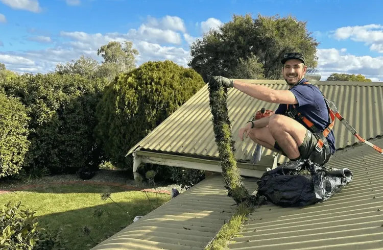A Wattle Cleaning technician pulling a large blockage from a gutter