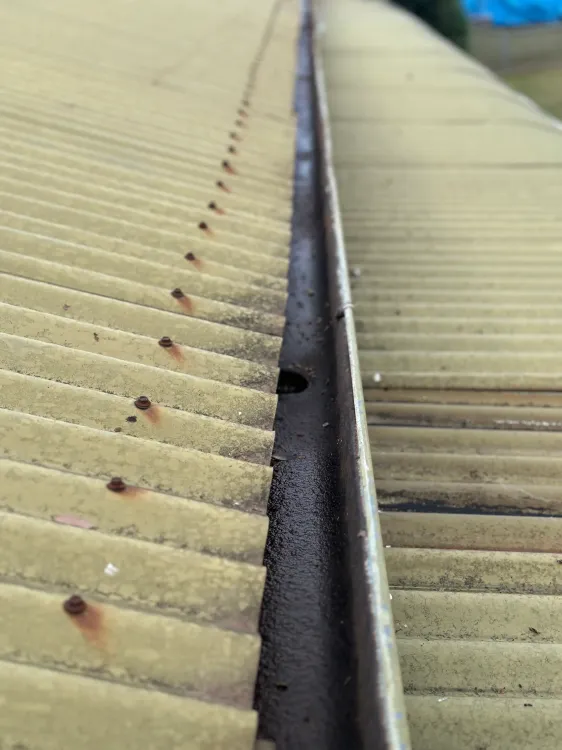 Freshly cleaned gutters