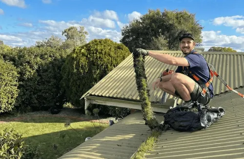 A Wattle Cleaning technician pulling a large blockage from a gutter