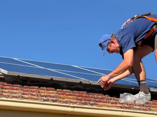 Wattle Cleaning install solar panel netting and bird proofing