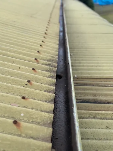 Freshly cleaned gutters