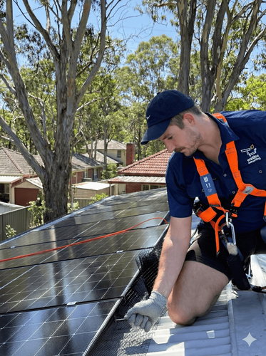Wattle Cleaning Technician Judah Installs Bird Proofing